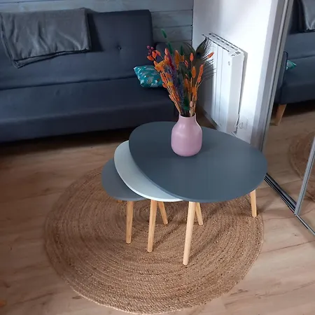 Résidence Arriu Mage * Bielle