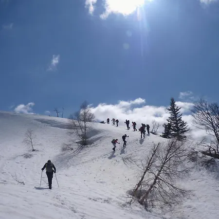 Arriu Mage Апартаменты Bielle