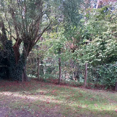 Résidence Arriu Mage * Bielle