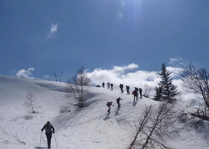 Arriu Mage Apartamento Bielle