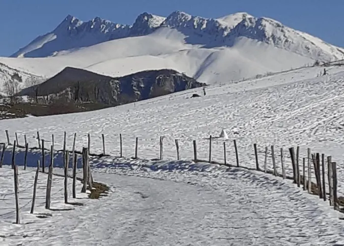 Apartamento Arriu Mage Bielle